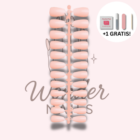 Press on Palette- Blush Dream